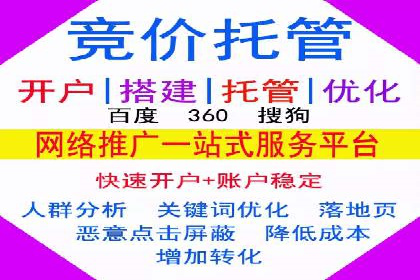 成功案例分享：托管竞价SEM优化策略